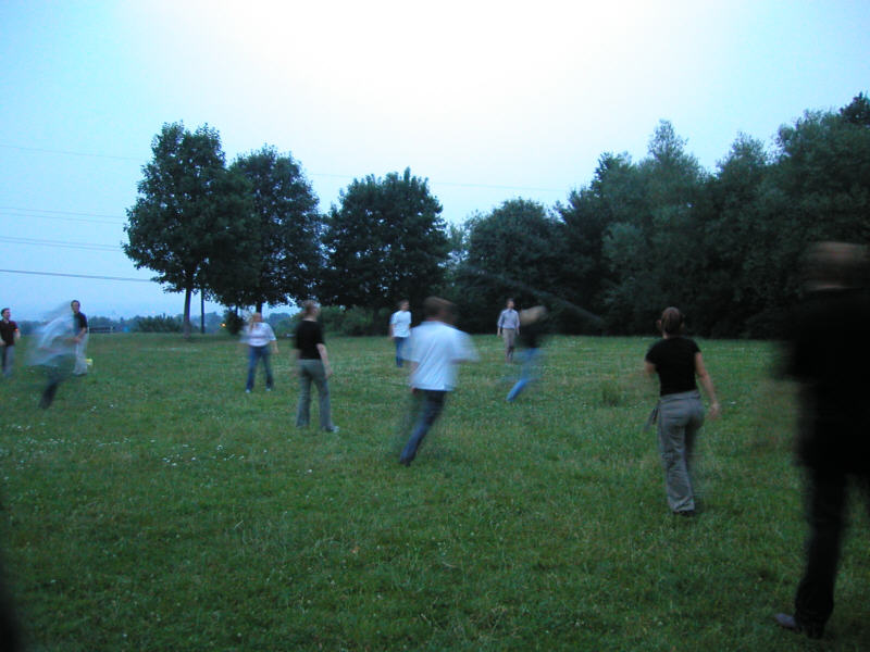 grillen0337.jpg