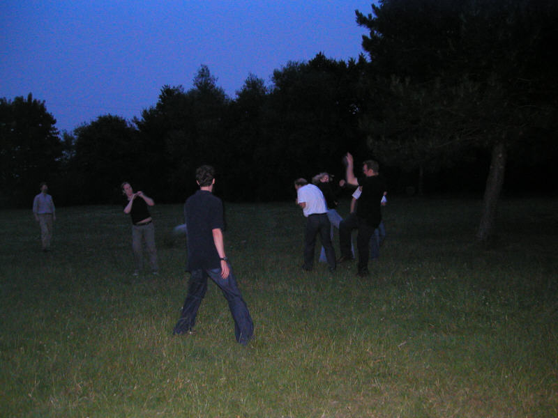grillen0338.jpg