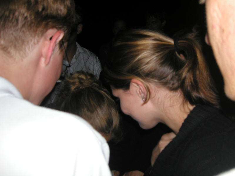 grillen0352.jpg