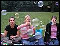 grillen0320.jpg