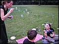grillen0322.jpg
